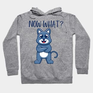 FUNNY KITTY CAT "Now What? Hoodie